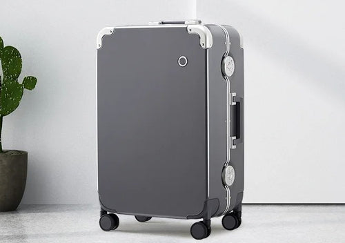 Travel Buddy Suitcase